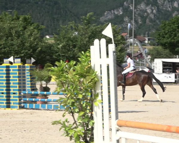 Reitturnier Balsthal 2021