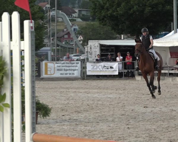 Reitturnier Balsthal 2021