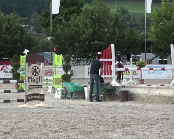 Reitturnier Balsthal 2021