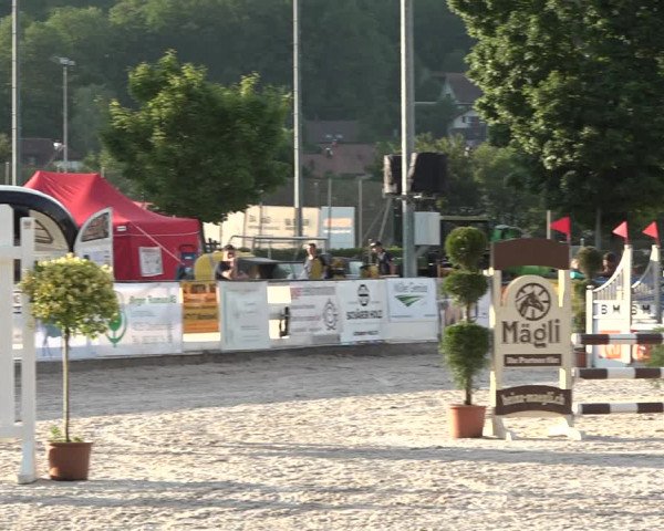 Reitturnier Balsthal 2021
