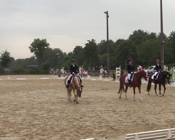 Reitturnier Münster-Nienberge 2021