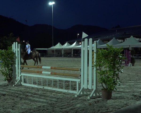 Reitturnier Balsthal 2021