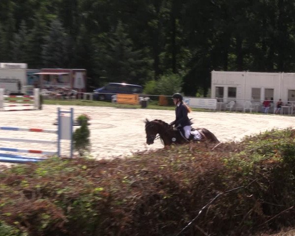 Reitturnier Pietzpuhl 2021