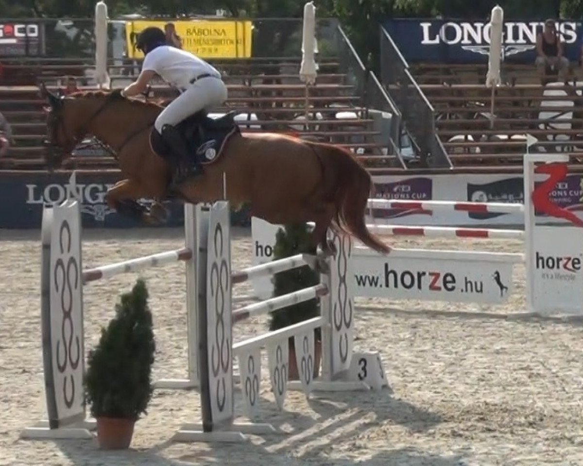 Pferd Mende's Balou (Belgisches Warmblut, 2007, von Baloubet du Rouet)
