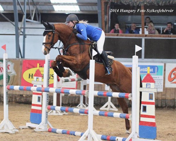 Pferd For Landor (Belgisches Warmblut, 2009, von Landor S)