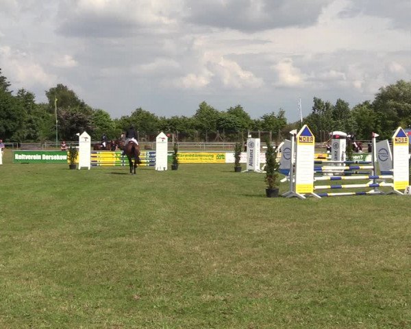 Reitturnier Dersekow 2021