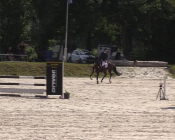Reitturnier Pietzpuhl 2021