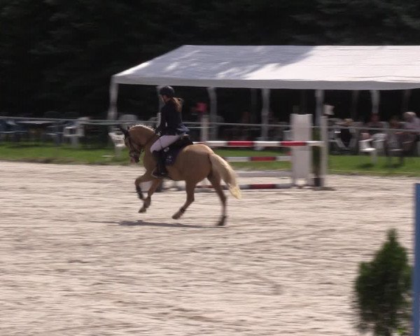 Reitturnier Pietzpuhl 2021