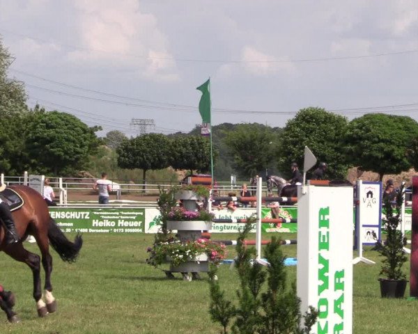 Reitturnier Dersekow 2021