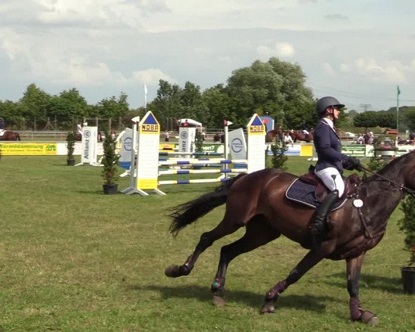 Reitturnier Dersekow 2021