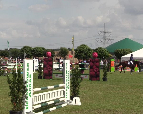 Reitturnier Dersekow 2021