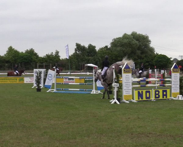 Reitturnier Dersekow 2021