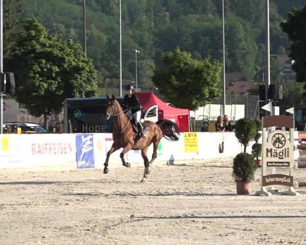 Reitturnier Balsthal 2021