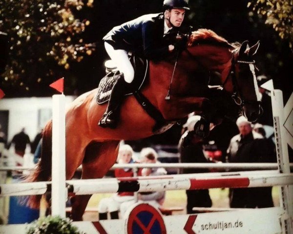 Springpferd Annabell (unbekannt, 2004)