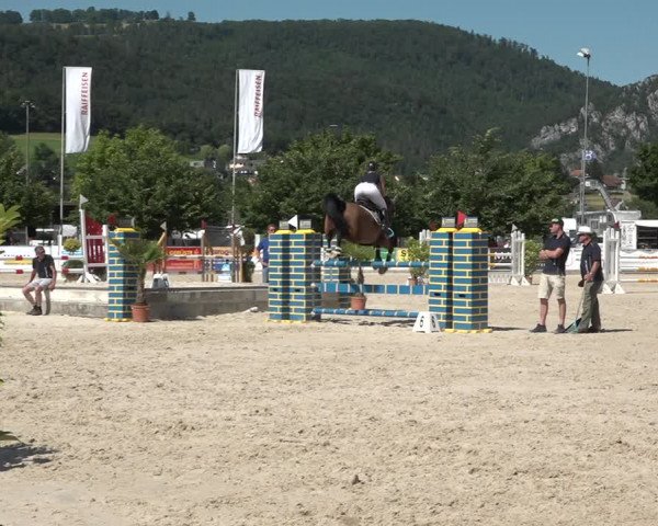 Reitturnier Balsthal 2021