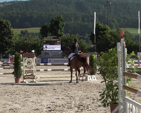 Reitturnier Balsthal 2021