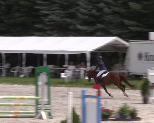 Reitturnier Pietzpuhl 2021