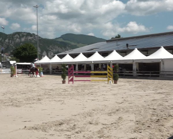 Reitturnier Balsthal 2021