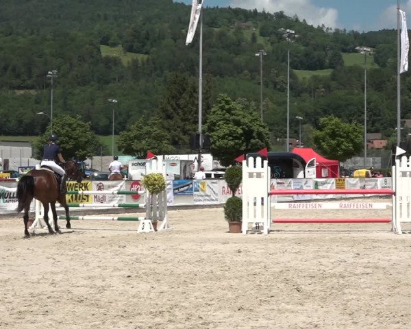 Reitturnier Balsthal 2021