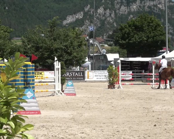 Reitturnier Balsthal 2021