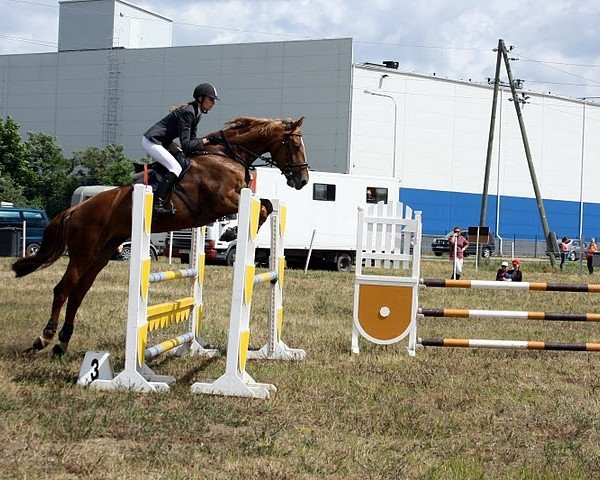 Pferd Durania van't Lozerhof (Belgisches Warmblut, 2003, von President)