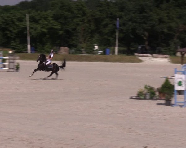 Reitturnier Pietzpuhl 2021