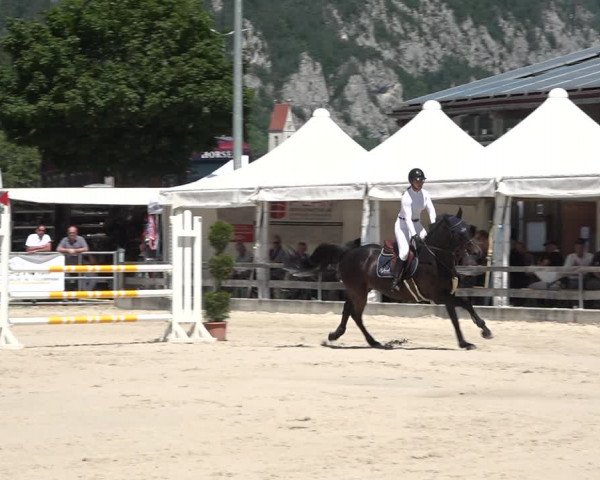 Reitturnier Balsthal 2021