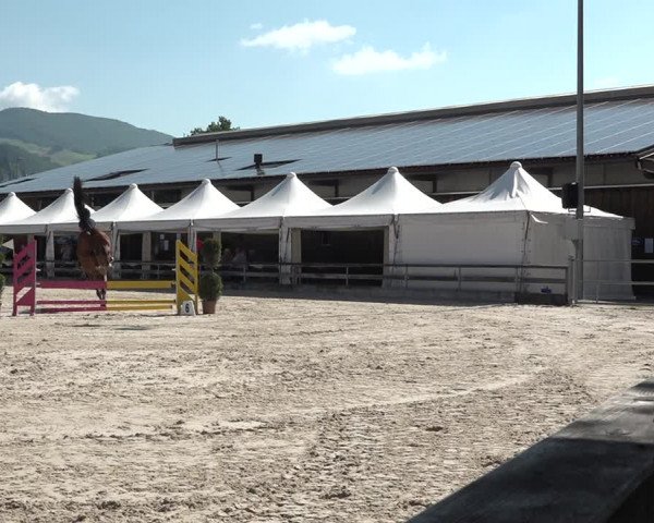 Reitturnier Balsthal 2021