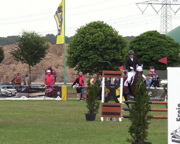 Reitturnier Dersekow 2021