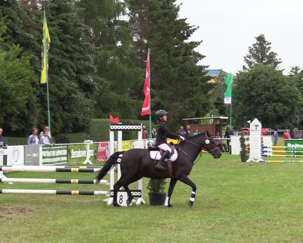 Reitturnier Dersekow 2021
