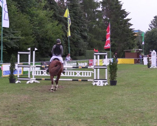 Reitturnier Dersekow 2021