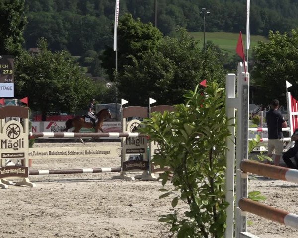 Reitturnier Balsthal 2021