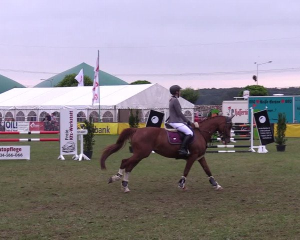 Reitturnier Dersekow 2021
