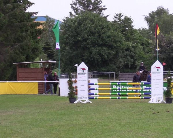 Reitturnier Dersekow 2021