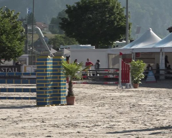 Reitturnier Balsthal 2021