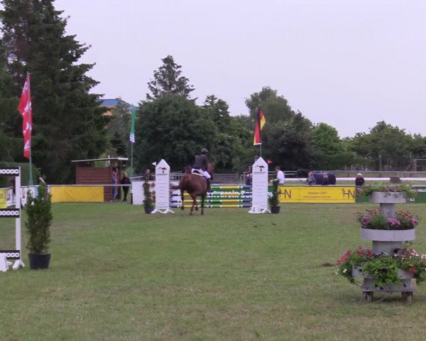 Reitturnier Dersekow 2021