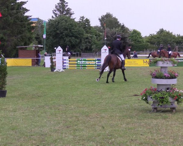 Reitturnier Dersekow 2021