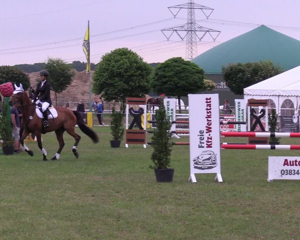 Reitturnier Dersekow 2021
