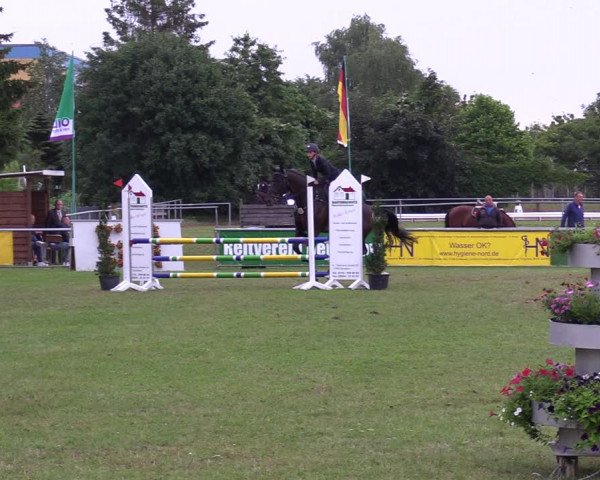 Reitturnier Dersekow 2021