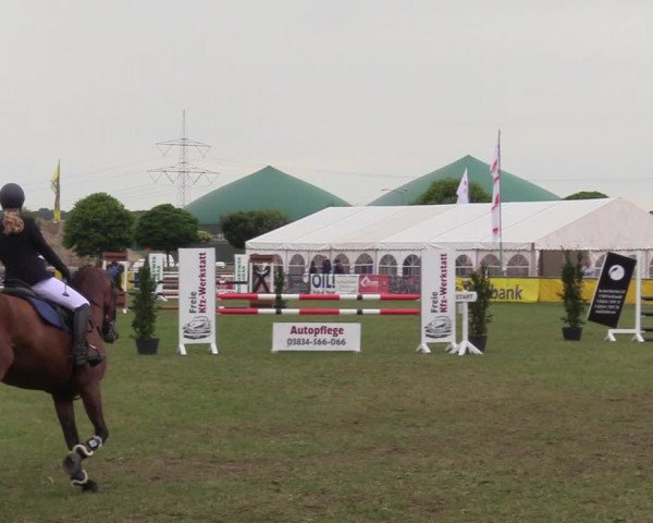 Reitturnier Dersekow 2021
