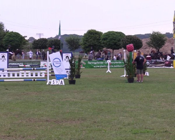 Reitturnier Dersekow 2021