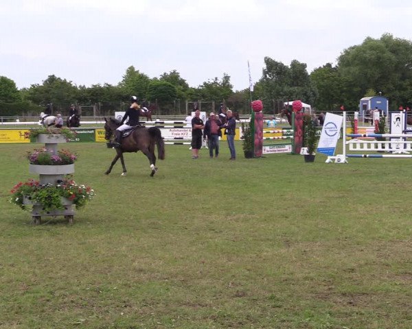 Reitturnier Dersekow 2021