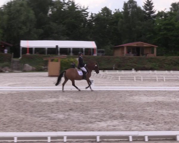 Reitturnier Pietzpuhl 2021