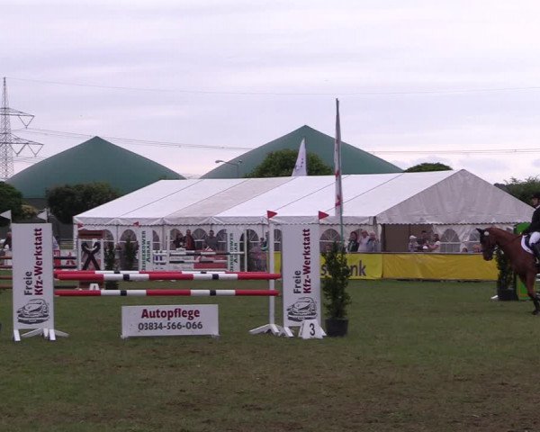 Reitturnier Dersekow 2021