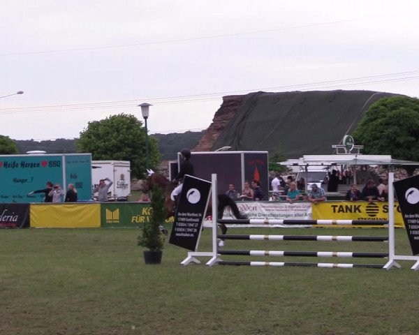 Reitturnier Dersekow 2021