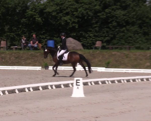 Reitturnier Pietzpuhl 2021