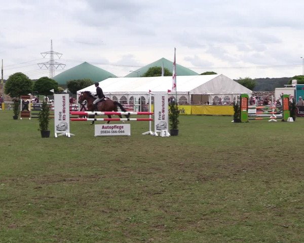 Reitturnier Dersekow 2021