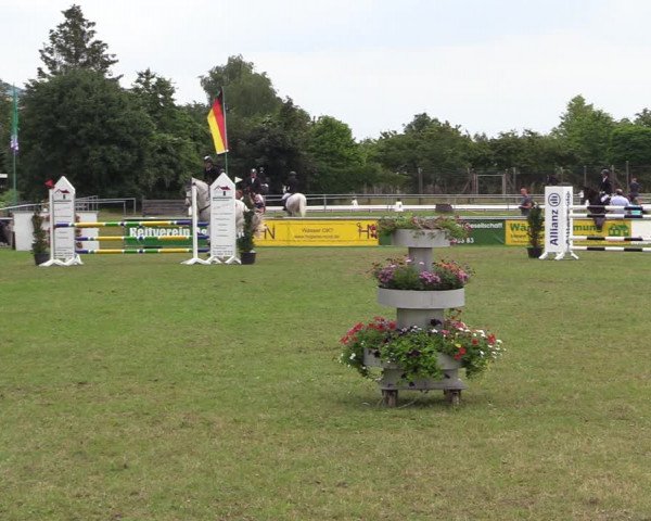 Reitturnier Dersekow 2021