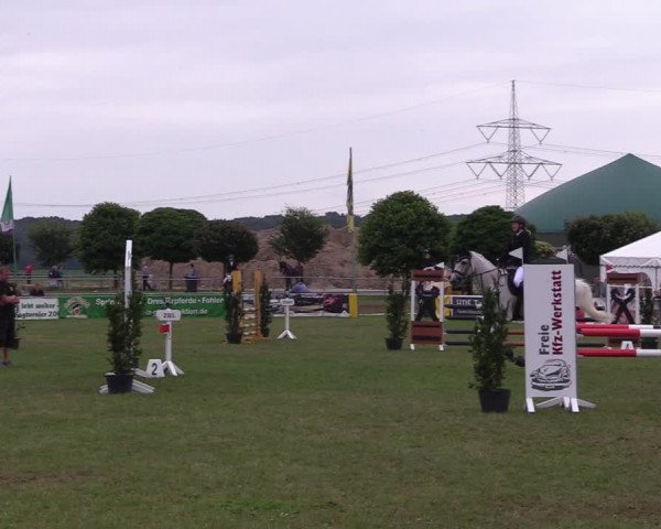 Reitturnier Dersekow 2021