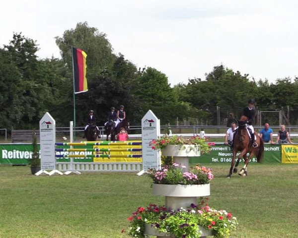 Reitturnier Dersekow 2021
